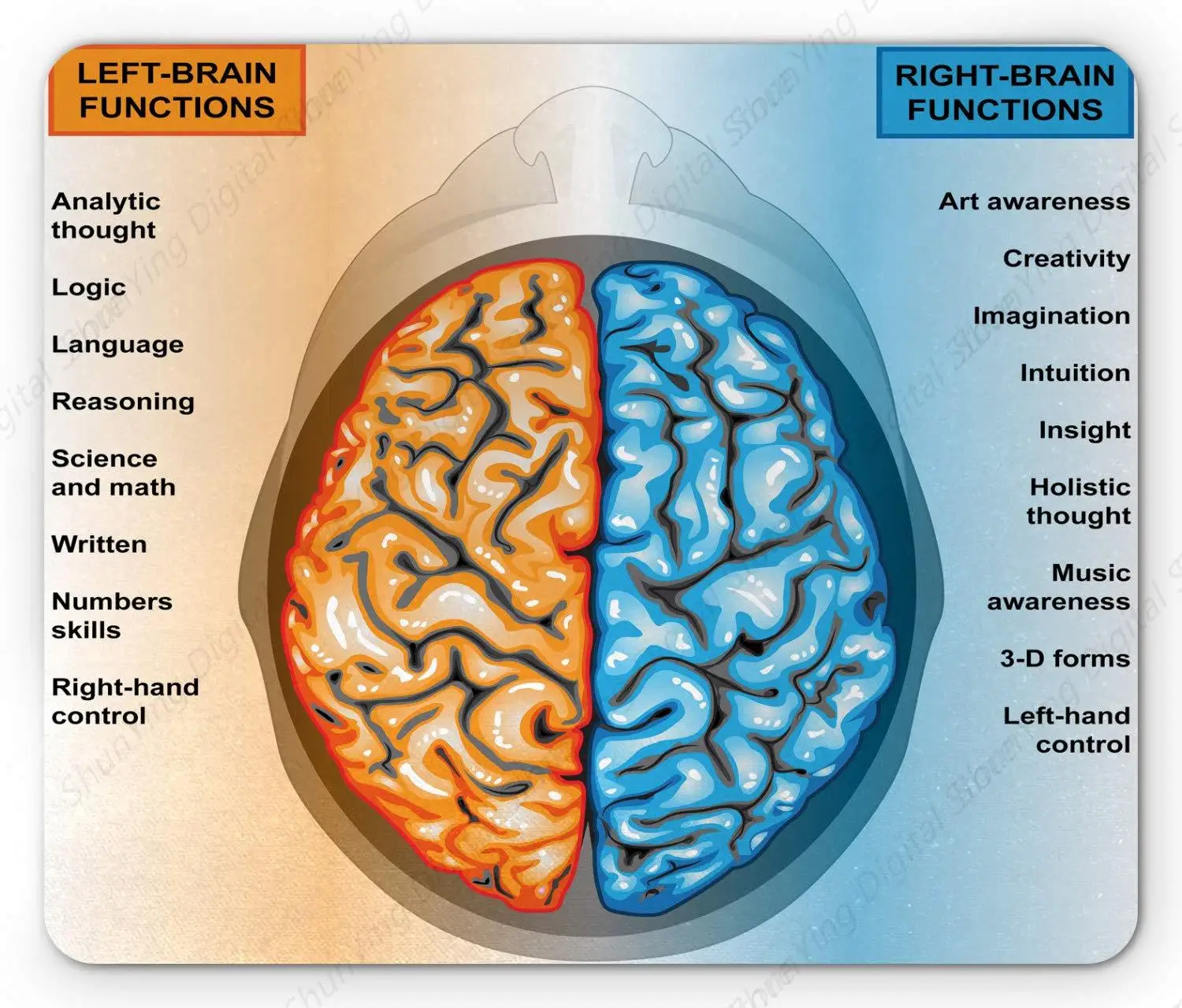 Educational Mouse Pad List Of Left And Right Brain Functions Intellectual Nerve Anti Slip Rubber Mouse Pad Blue Orange Pattern