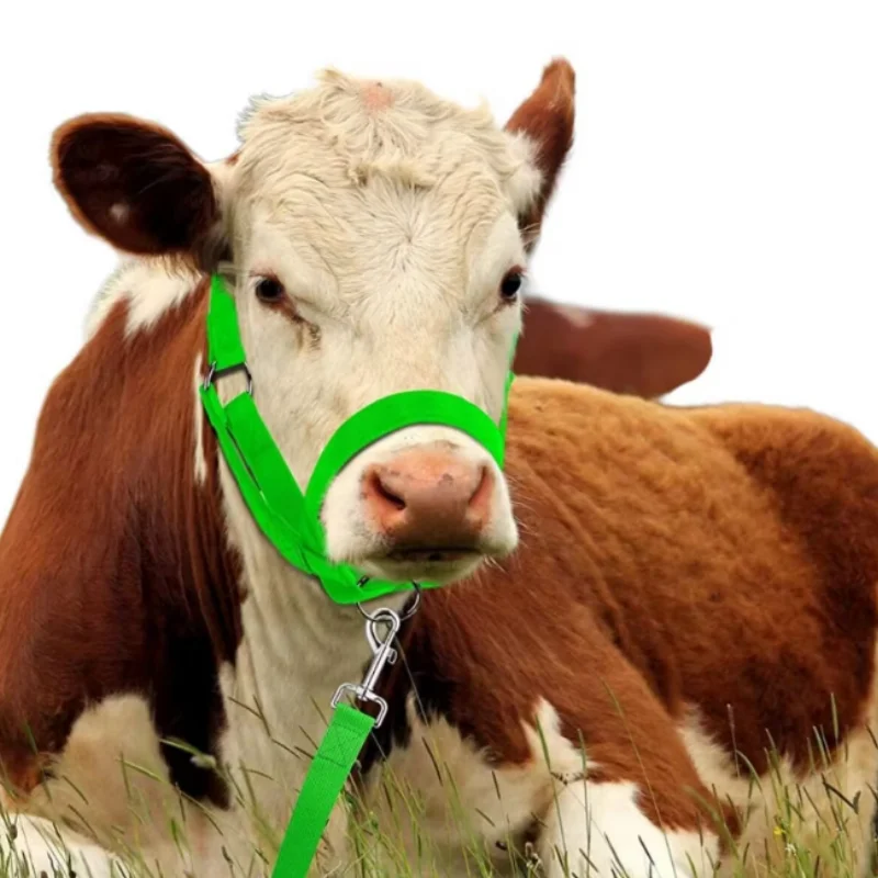 الأخضر قابل للتعديل الماشية النايلون الرائدة حبل البقرة الماشية الحصان حمار الماعز Foal Halters 1