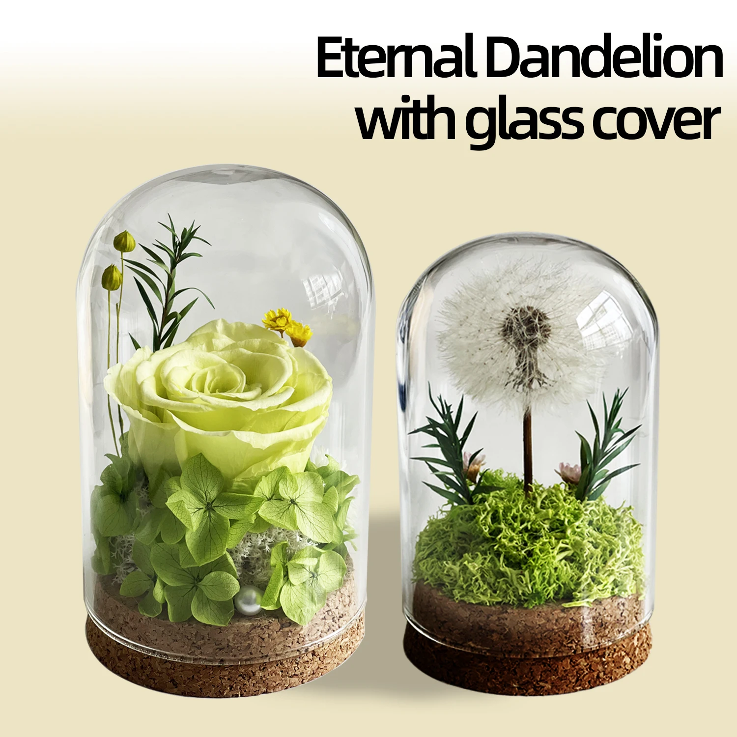 Natural Flowers Rose Dandelions Real Dried Flower for Crafts Glass Cover Home Office Decoration for Birthday Mother's Day Gifts