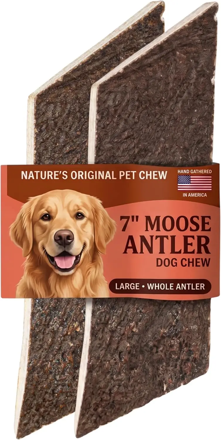 Mountain Valley Moose Antlers for Dogs Chew Whole Dog Antler,Large, 2Pack