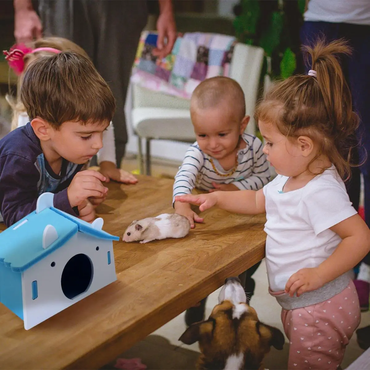 

Pink Hamster Cage Caveolae Sleeping House Bed Tubular Blue Wooden Pet Nest Travel