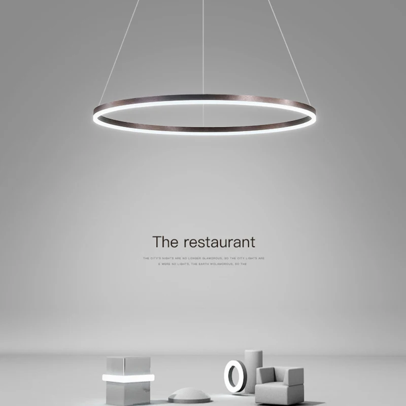 

Modern Minimalist LED Pendant Light Dining Room Light Nordic Designer Single Head Round Living Room Ring Chandelier