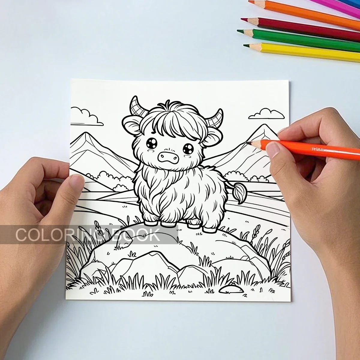 FLORAL HIGHLAND COWS Coloring Book For Adult Children Relieve Stress Kill Time Graffiti Painting Drawing Art Books Perfect Gift