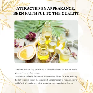 Euqee 10ml Natural Plant Essential Oil with Diffuser Accounting Humidifier Jasmine Lavender Eucalyptus Vanilla Oils Essential 11 Main Sales Essential Oil - №5