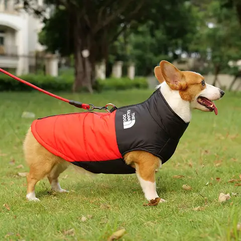 L-7XL inverno impermeável quente corgi jaqueta quente cão médio cão grande labrador inverno outing roupas