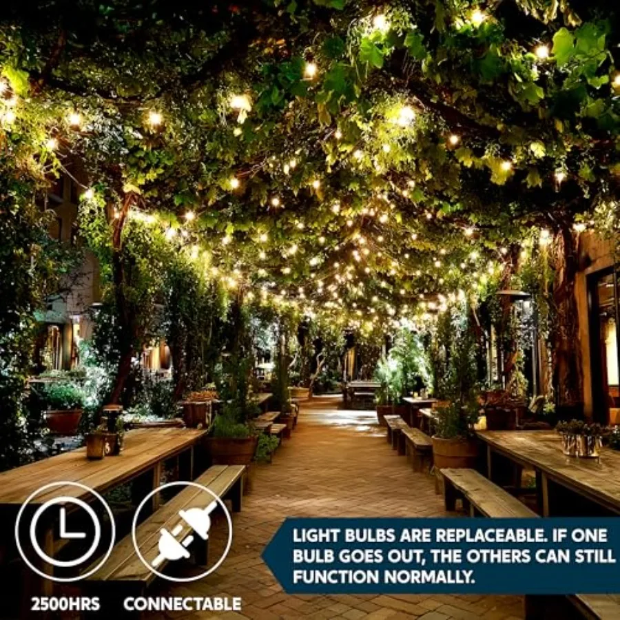 Clear Christmas String Lights Indoor, 100 Count Mini White Fairy Light Outdoor, 19.4 Feet Decor for Patio Dorm Classroom Bedroo