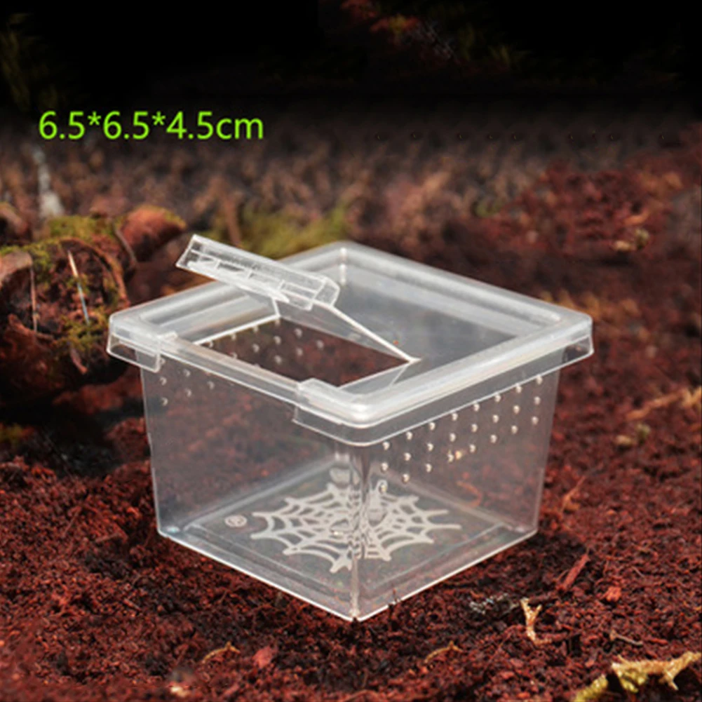 Caja de cría de reptiles con tapa abatible, transparente, transpirable para ranas, serpiente, Araña, suministros para mascotas