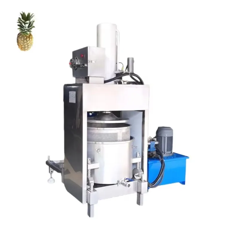 Customized Fruit Press Manual Juicer Commercial Cheap Cold Press Juicer Hydraulic Grape Presser Juicer