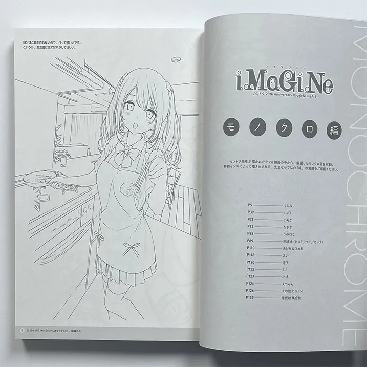 Japanese Illustrator Supervised The 20th Anniversary Art Book IMaGiNe-iImagine- Kantoku 20th Anniversary Rough& LineArt