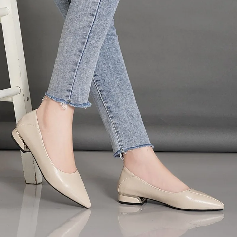 2026 Frühling und Herbst Neue Spitze Pumps für Damen mit Dickem Absatz und Flachem Schaft Professionelle Allround-Damenschuhe – Detail 10