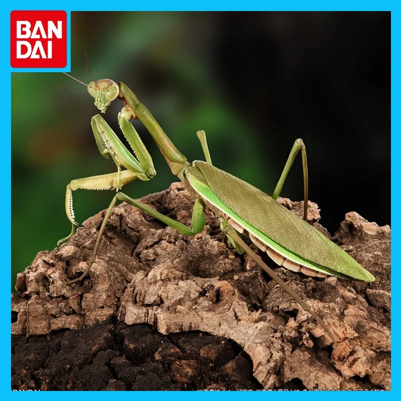 

Bandai Original Biological Atlas Anime Figure Gashapon Broadsword Mantis Grasshopper Action Figure Toys for Boys Girls Kids Gift