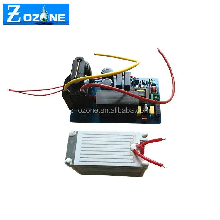 220V/110V Factory Price Corona Discharge Cold Plasma Ozone Generator For Sale