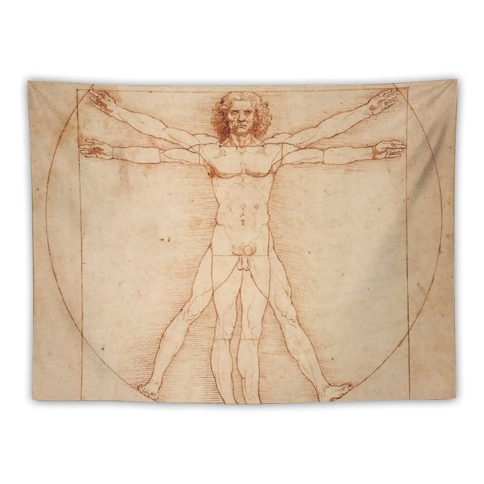 Vitruvian Man by Leonardo Da Vinci (1490) Tapestry Wall Tapestries Home Decor Aesthetic Tapestry