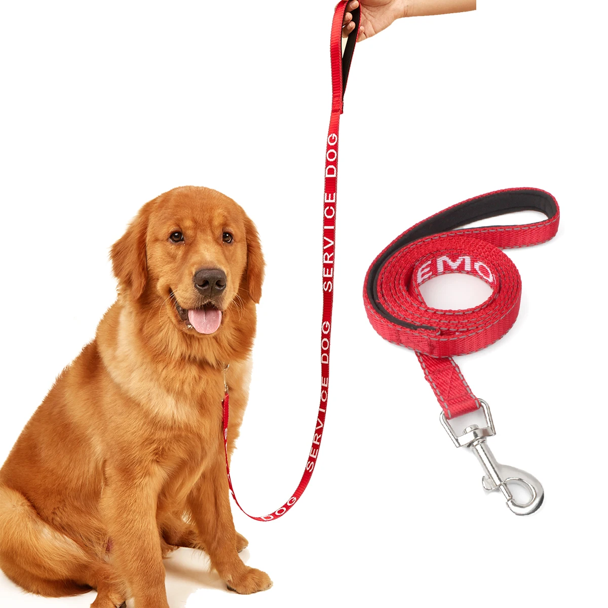 Thumbnail 4 - #6 Reflective Dog Leash Comparison Guide
