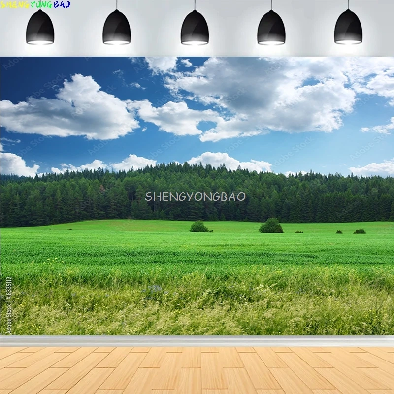 

Green Wheat Field Blue Sky Photography Backdrops Prop Pastoral Scenery Landscape Forest Blooming Rapeseed Photo Background BU-01