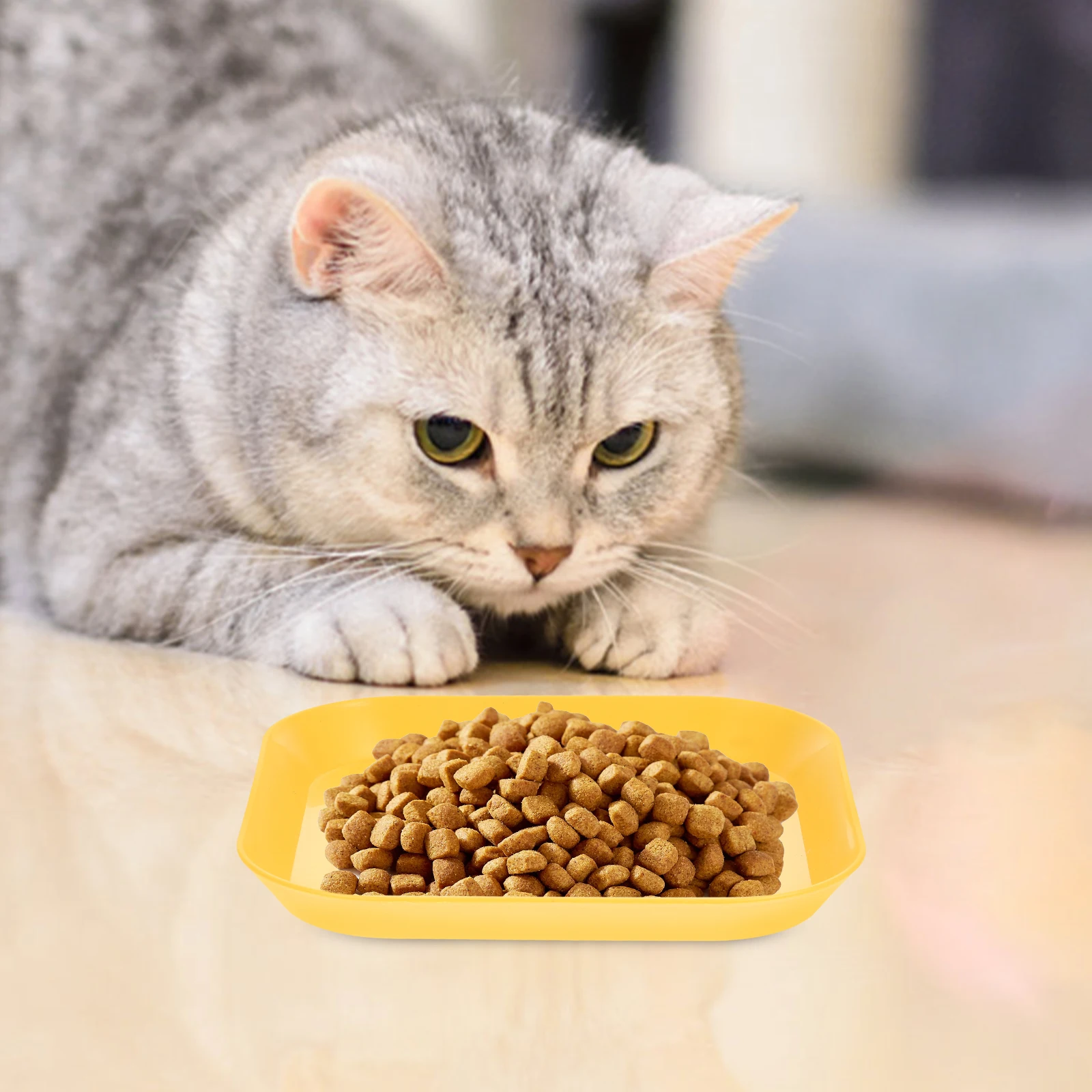 

1 set 1 Set Cat Food Bowl Square Sturdy Pp Material Non Slip Base Pet Feeding Dish For Small Cats Hamsters Rabbits Easy Clean