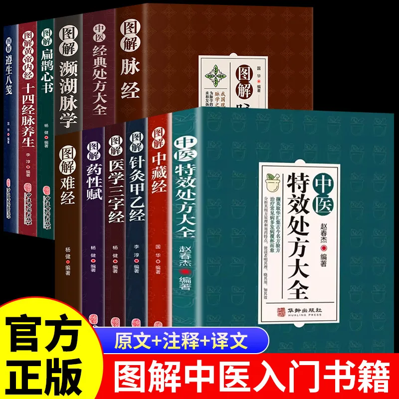 

A Complete Collection of Traditional Chinese Medicine Special Prescriptions and Health Books