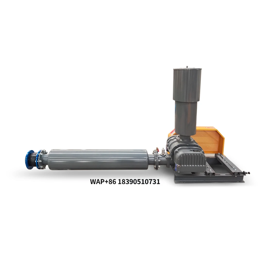 

Factory Price Electric Portable Roots Blower Leaf & Snow Vacuum Cleaner with Cast Iron Construction and 1 Year Warranty