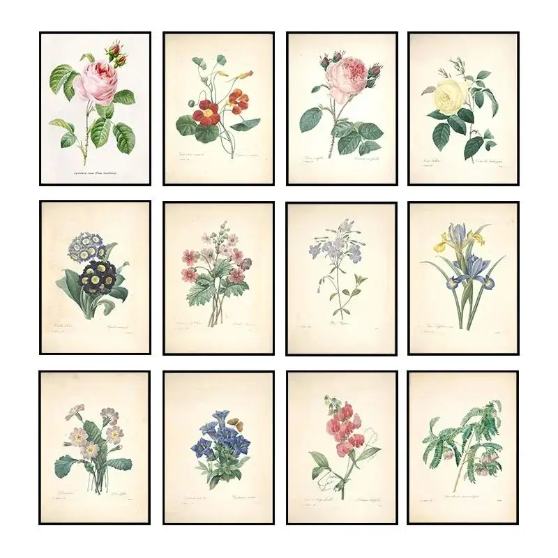 Vintage Botanical Studies Canvas Painting  French Plant Illustrations Botany Wall Art Pictures Ideal Home Decoration Perfect for