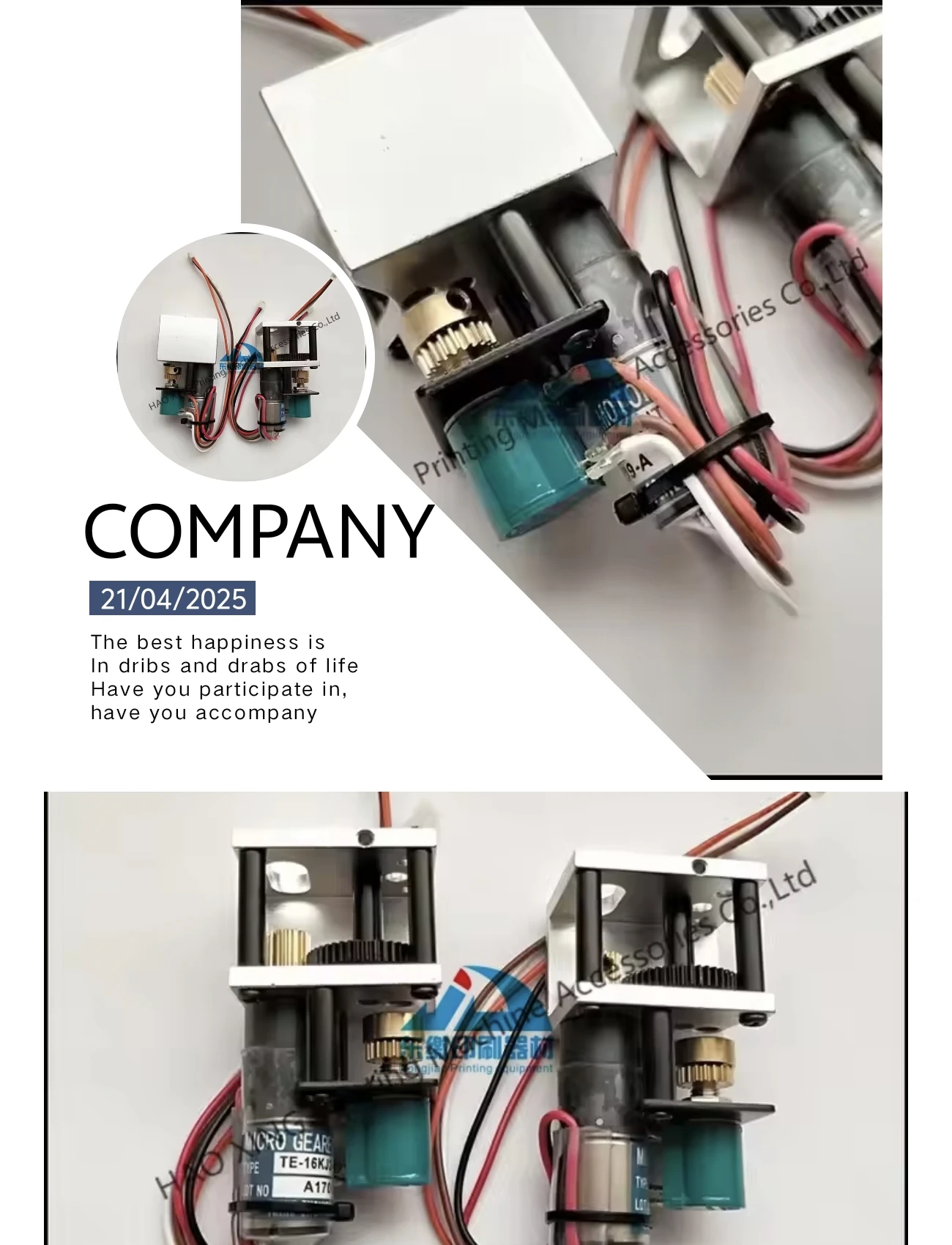 

Printing Machinery Spare Parts Ink Key Motor TE16KJ2-12-384 Ink Key Motor for Ryobi Printers TE16KJ2-12-576 Good Quality