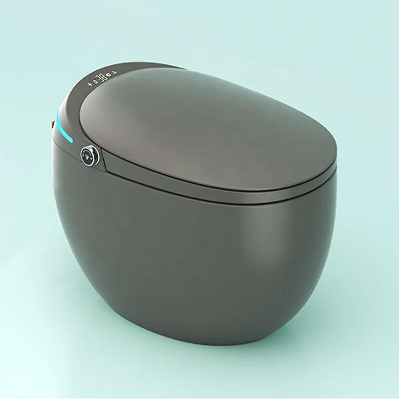 Smart Bidet Toilet Seat with AUTO Tankless Toilet with Remote Control Smart Lady Care Wash Nozzle Water Closet Toilet