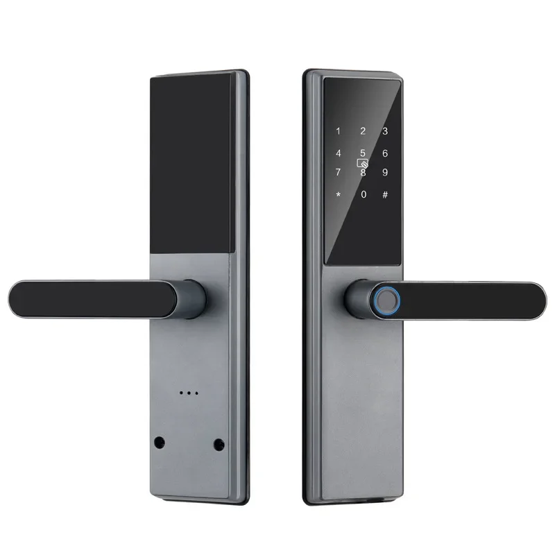 Graffiti Lock Apartment Rental Wooden Door Smart Password Electronic Lock Fingerprint Lock