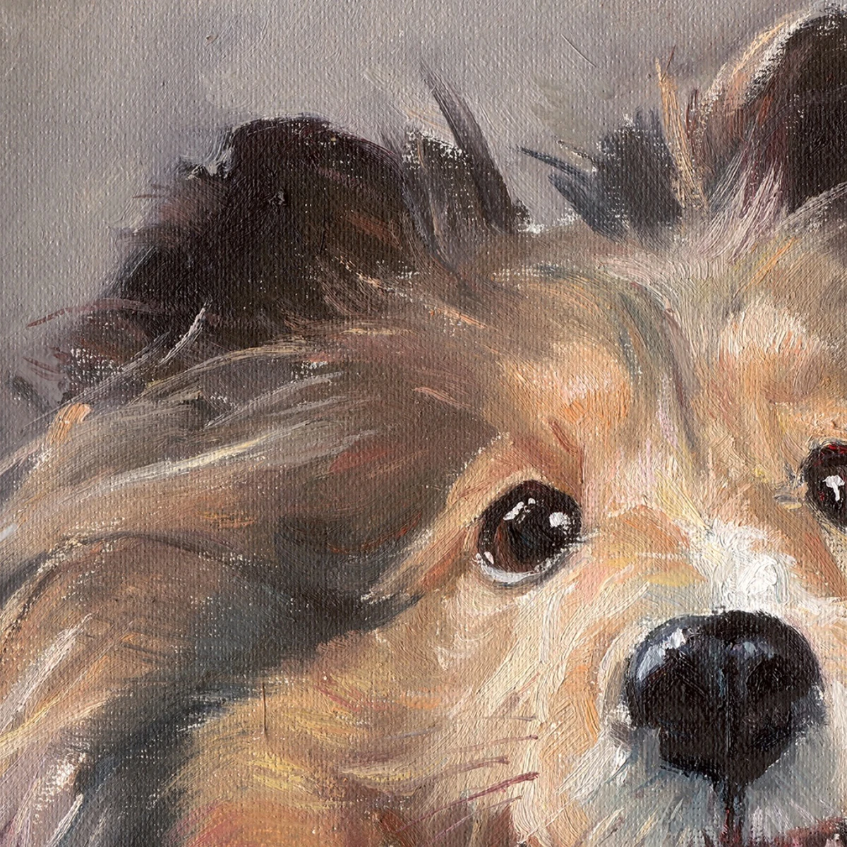 Shetland Sheepdog oil painting, animal painting, pet dog birthday gift customization Customized hand drawn pet portrait painting