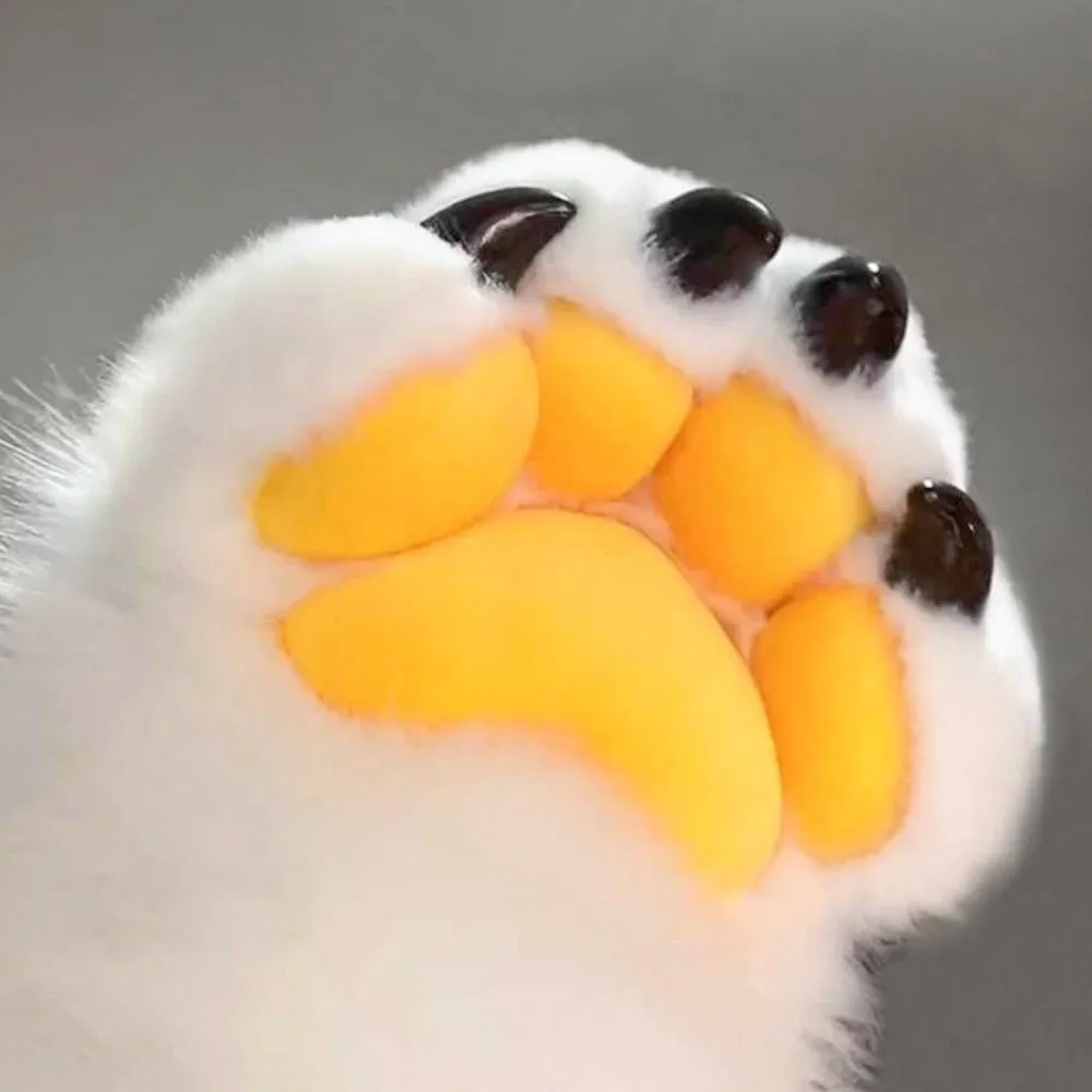 8pcs Multicolor Animal Fursuit Claws Accessories Pointed/Obtuse Epoxy Furry Claws Nails Handmade Cos Porps