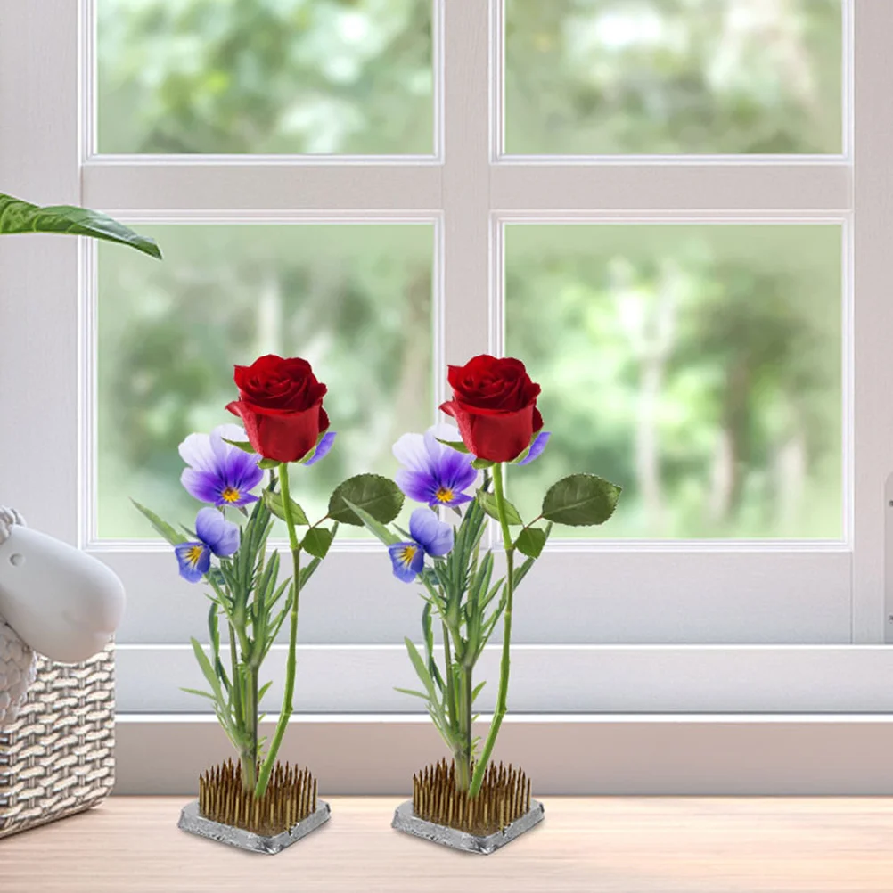 

Floral Arrangement Holder Strong Flower Fixation Base Easy to Use for Beautiful Indoor Plant Display Decoration