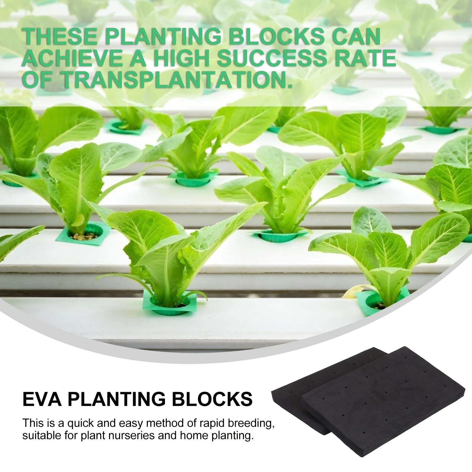 Bloques de espuma para plantar hidropónicos, cultivo sin suelo, Material Eva rico en nutrientes para herramienta de inicio de plántulas de jardín, 30 Uds.