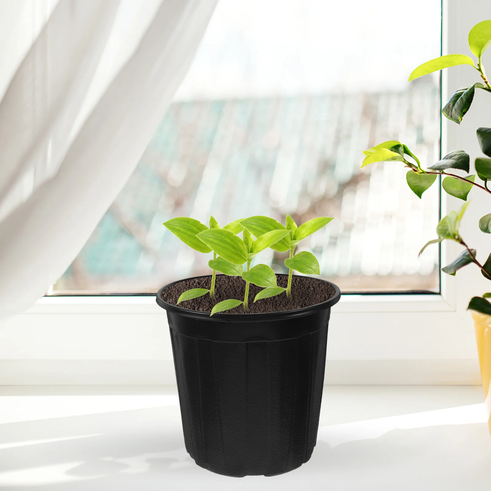 

10pcs Black Gallon Nursery Pots Plastic Planting Containers For Seedling Starter Garden Outdoor Plants Flower Pots With Drainage