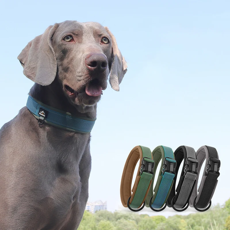 

Explosion-Proof Nylon Dog Collar with Soft Padded Premium Heavy Duty Adjustable Pet Collar for Medium Large Dog Walking Training