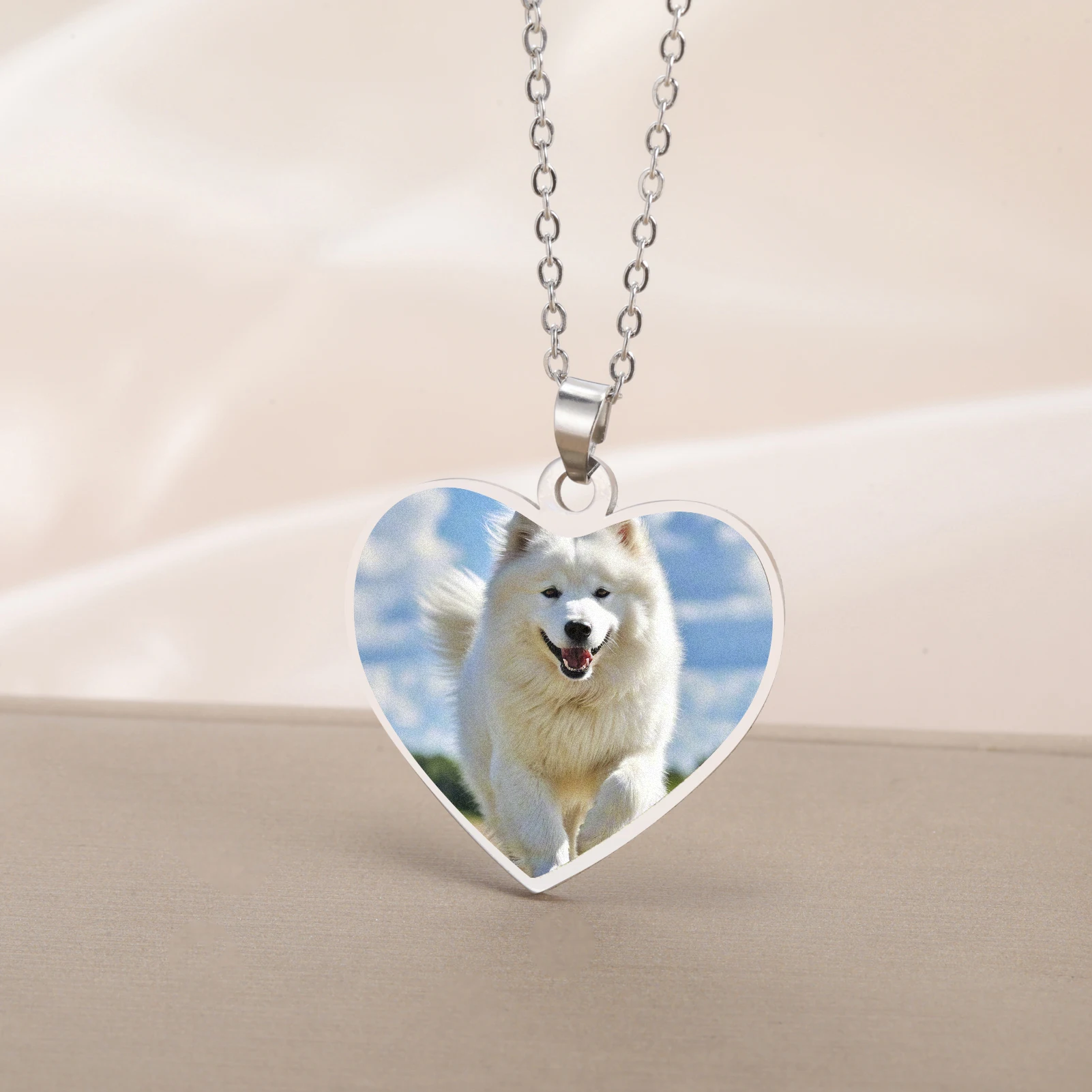 COOLTIME Benutzerdefinierte Herz Bild Halskette Edelstahl Personalisierte Anhänger Druck Foto Halskette Schmuck Großhandel – Detail 2