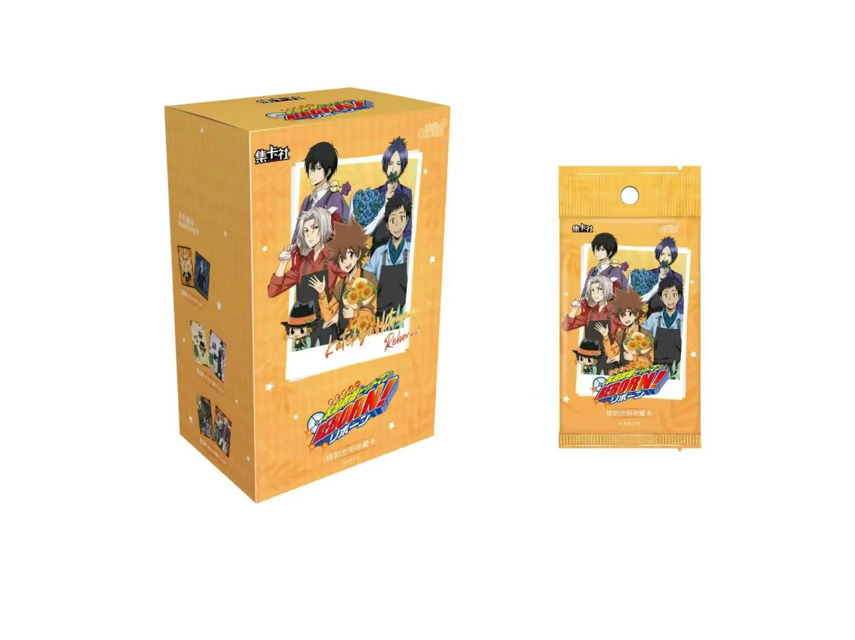 Genuine Katekyo Hitman Reborn Engraved Memories Series Anime