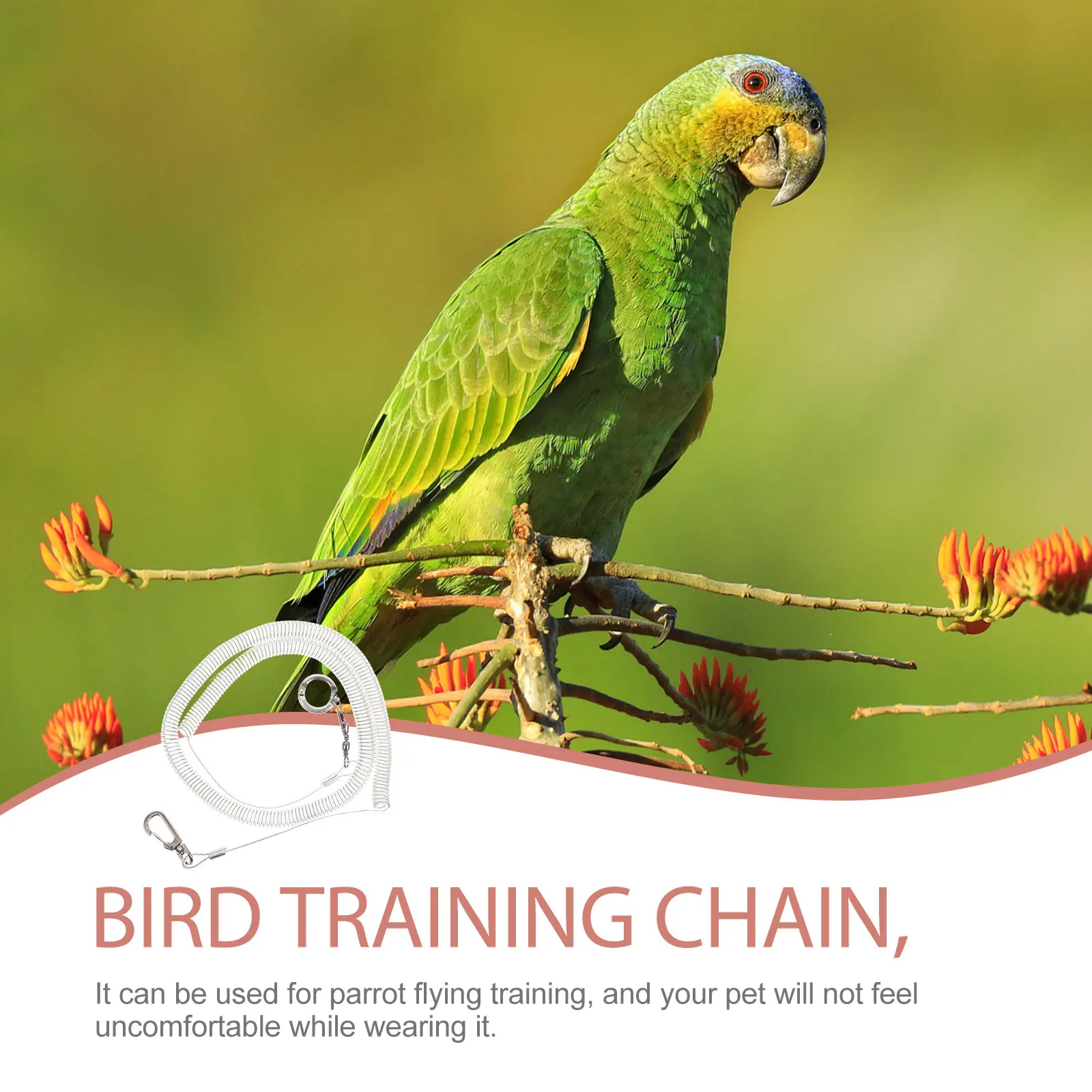 

Parrot Flying Rope Bird Harness Adjustable Plastic Leash Training Chain Pet Supplies Lightweight Portable Outdoor Safety NonSlip