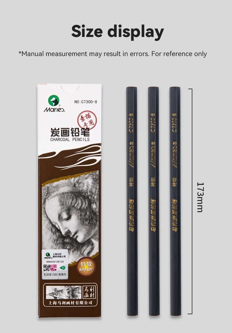 Professionelles Kohle- und Graphitstift-Set für Künstler, Zeichen- und Skizzierbedarf, 2H HB B 2B 3B 4B 5B 6B 8B – Detail 10