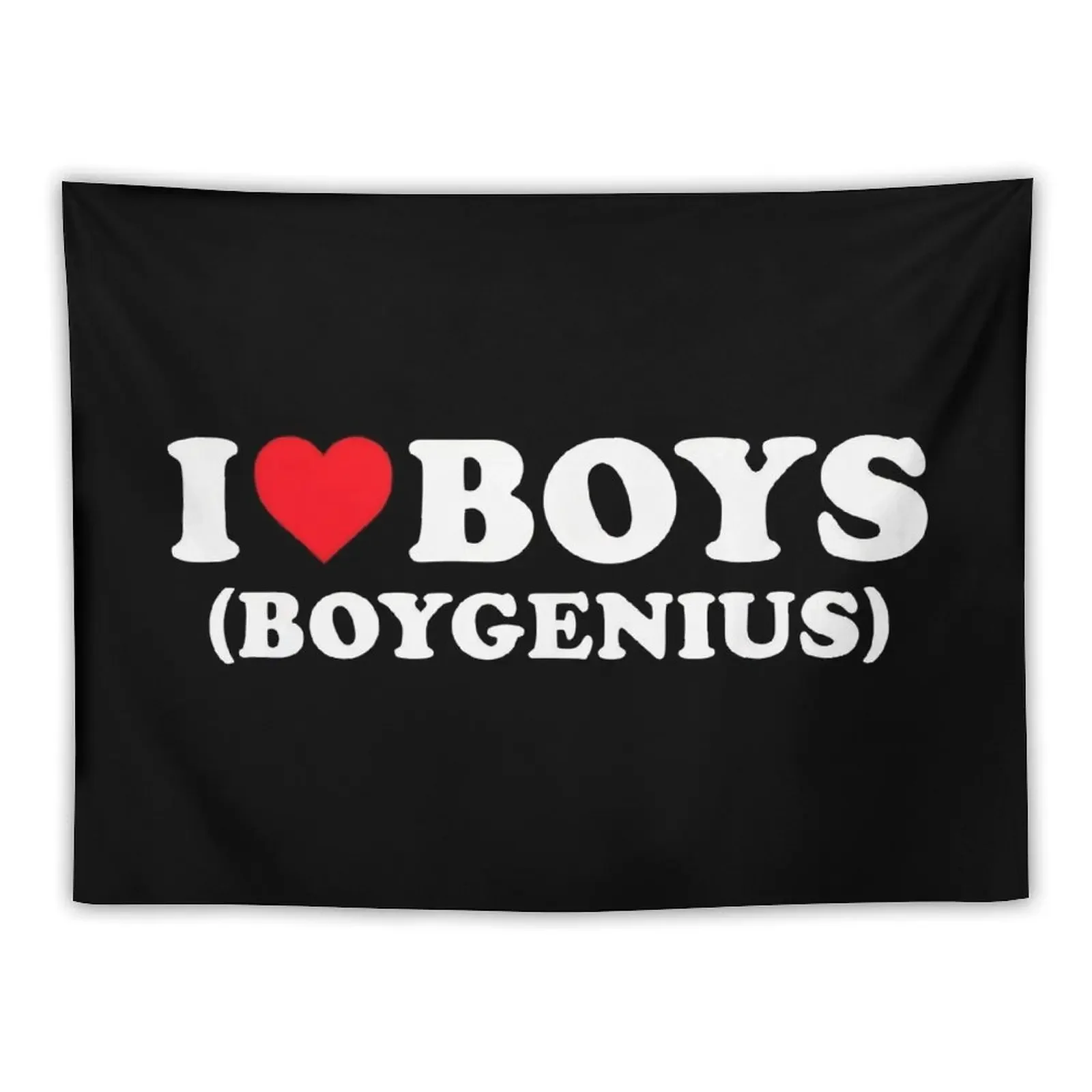 

boygenius 90's Tapestry Wall Hanging Decor Home Decor Accessories Outdoor Decor Cute Room Things Tapestry