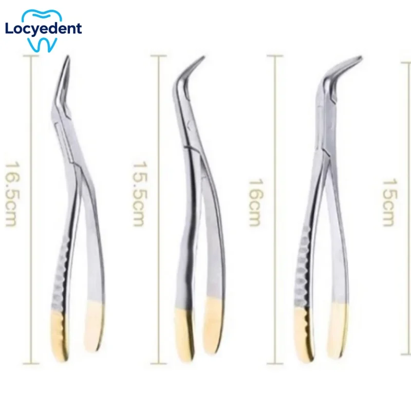 

Dental Root Fragment Tooth Extraction Forceps Tooth Root Extraction Pliers Instrument Curved Maxillary Mandibular Universal Tool