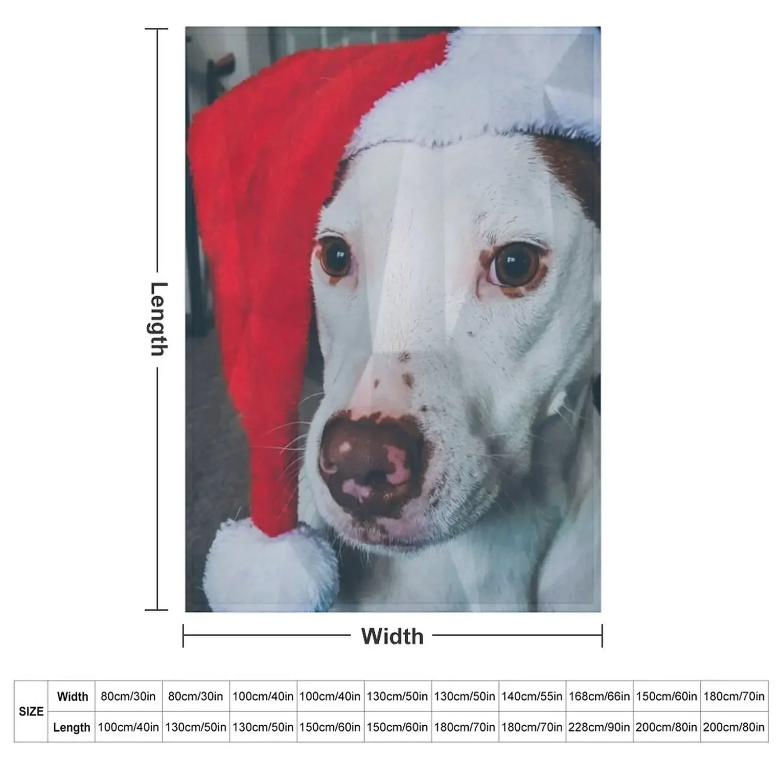 Pitbull Santa Hat Throw Blanket couch cozy soft plush fuzzy picnic outdoor blanket