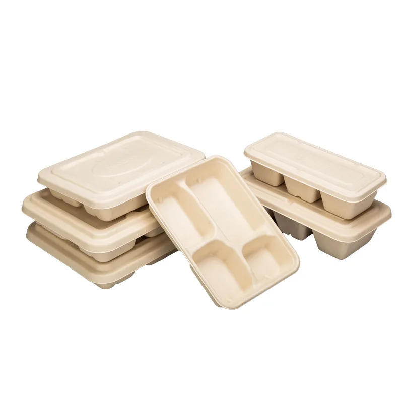 Custom Disposable Lunch Box Paper Pulp Food Container Biodegradable Commercial Takeaway Multi-compartment Packing B