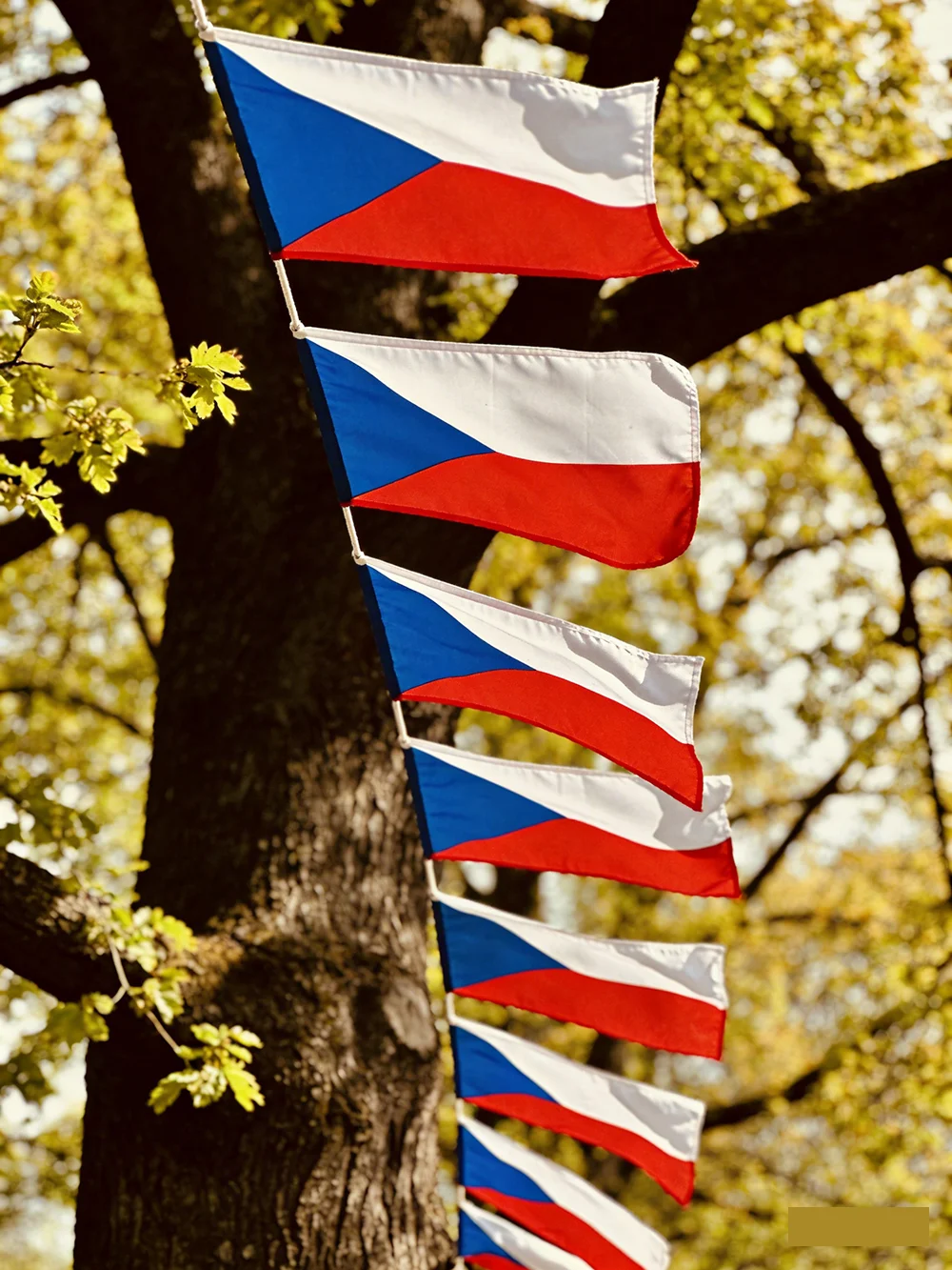 （TIKI FLAG）Czech bunting flags 14x21cm 20pcs/lot Pennant Czech String Banner Festival Party Holiday for decoration