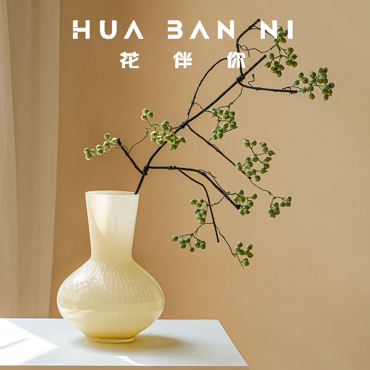 Vase Light Luxury Seniortable Living Room Hydroponics Flowers Potbelly Glass Vase High Appearance Level Decorative Ornaments