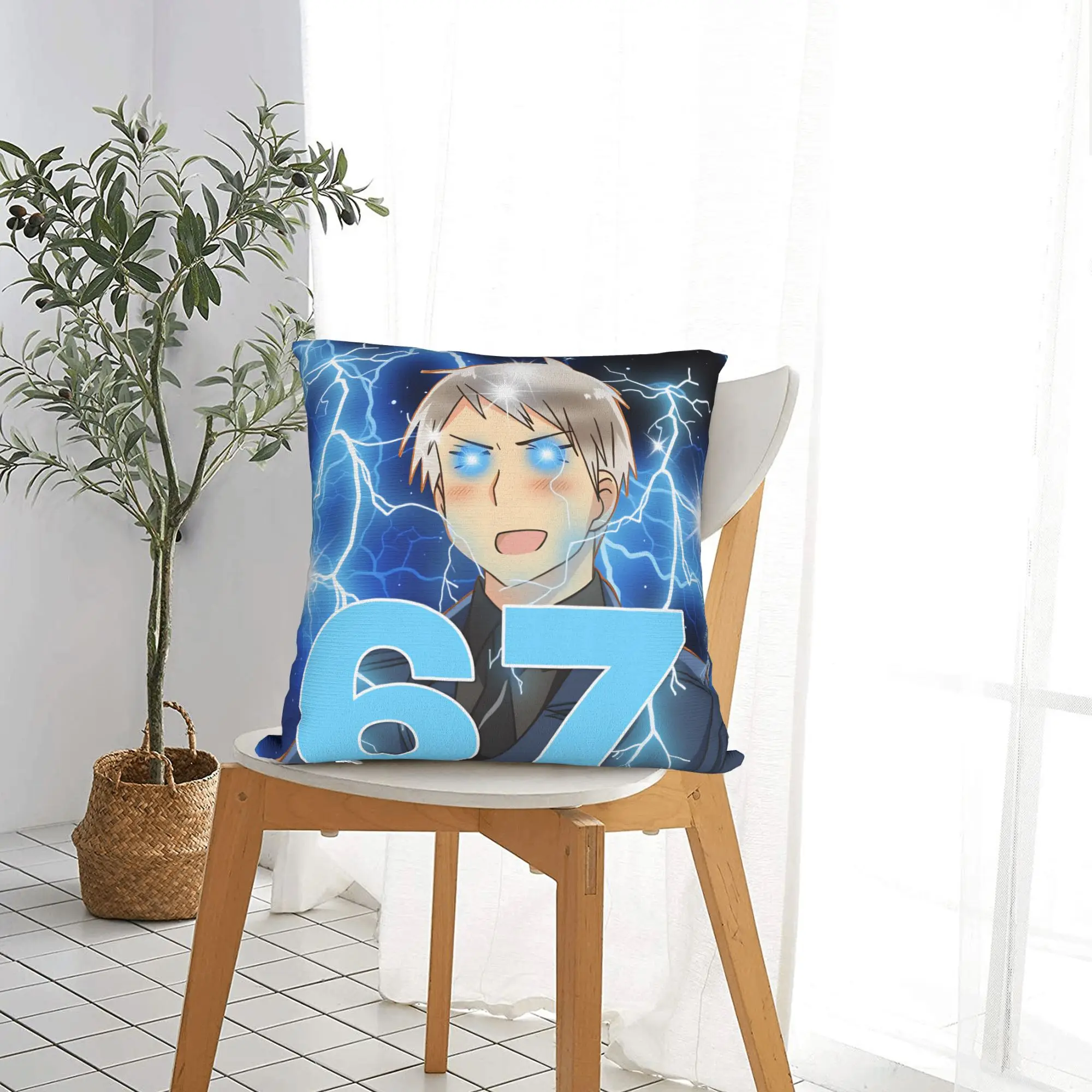 APH Hetalia Anime 67 Meme-Kissenbezug, modischer Kissenbezug, weiche Kissenbezüge für Sofa, Auto, Heimdekoration – Detail 6