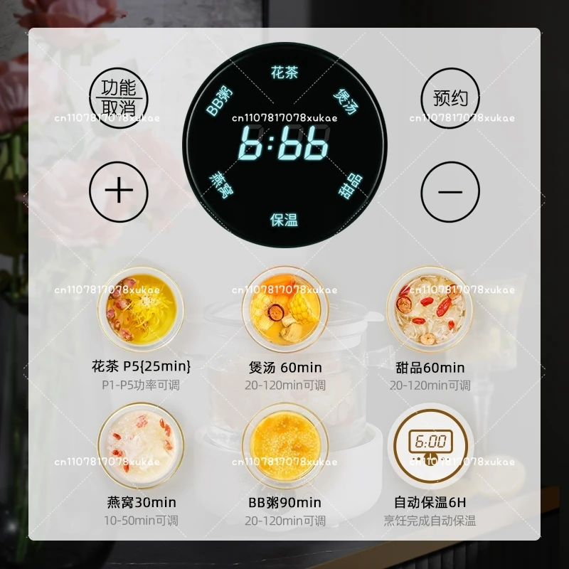 

110V Voltage Health Pot, Exporte Small Household Appliances