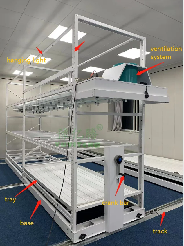 2025 Grande sistema di cremagliera per coltivazione verticale idroponica Tavolo mobile per inondazioni Costruzione in acciaio per agricoli e serre