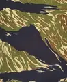 Green Tiger Spot