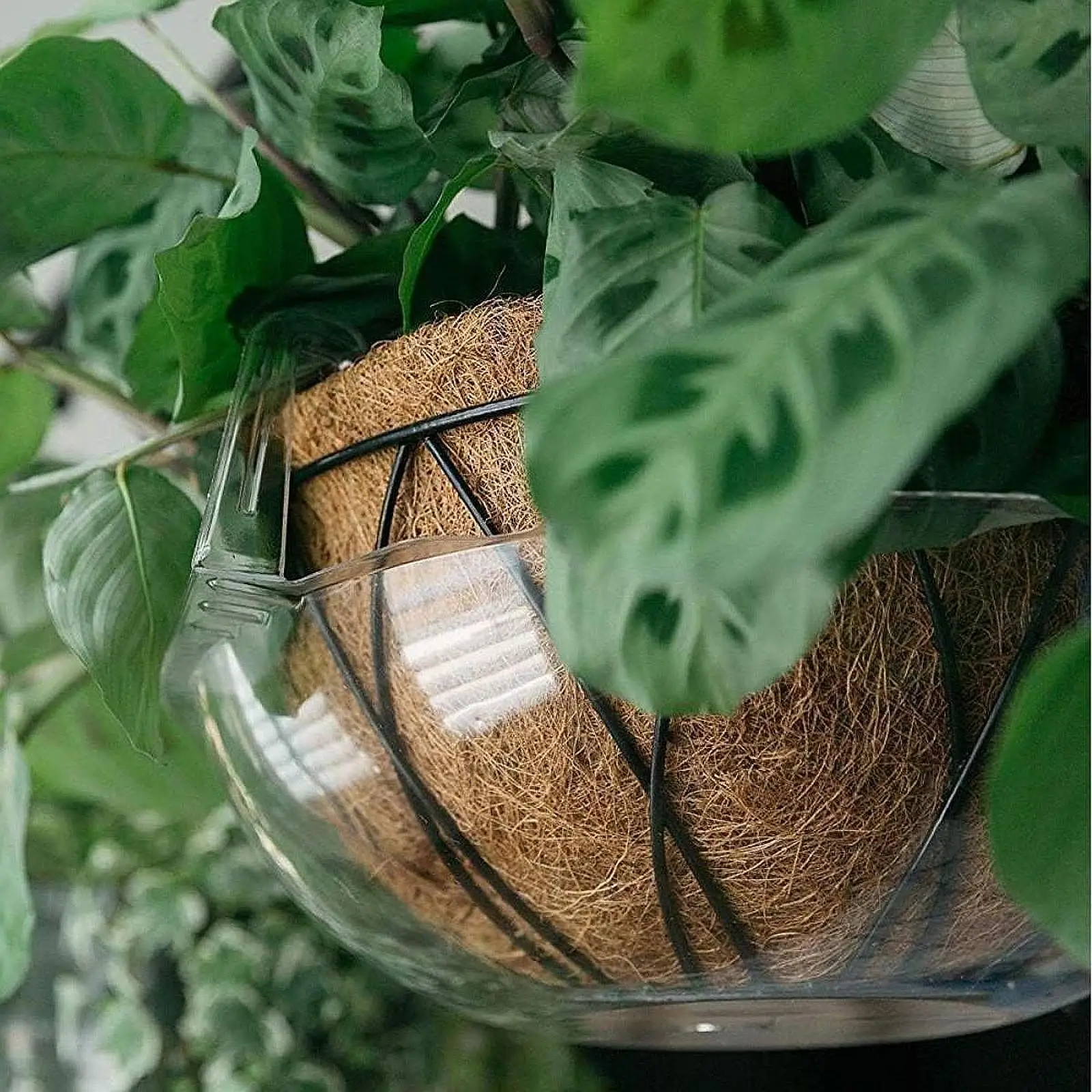 Large Clear Plant Saucers for Hanging Basket Drip Tray Round Transparent Pot Holder for Garden Balcony