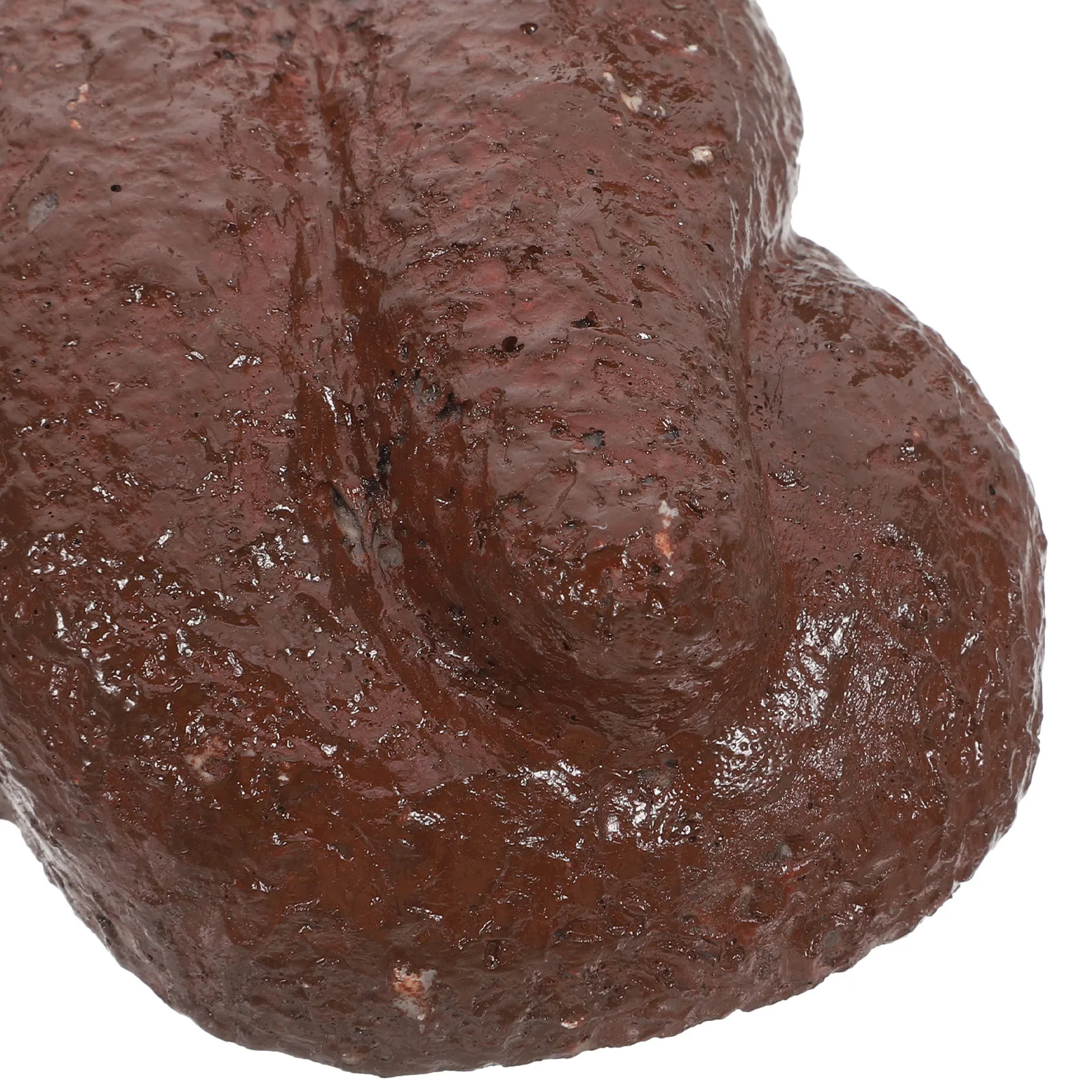 Key Box Hidden Safes Realistic Poop Design Large Capacity Outdoor Suitable Easy Installation Garden Decor Concealer Rock Statue