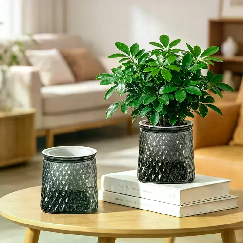 Mini Self Watering Flower Pot Fish Tank Transparent Plastic Planter Vase Home Decoration