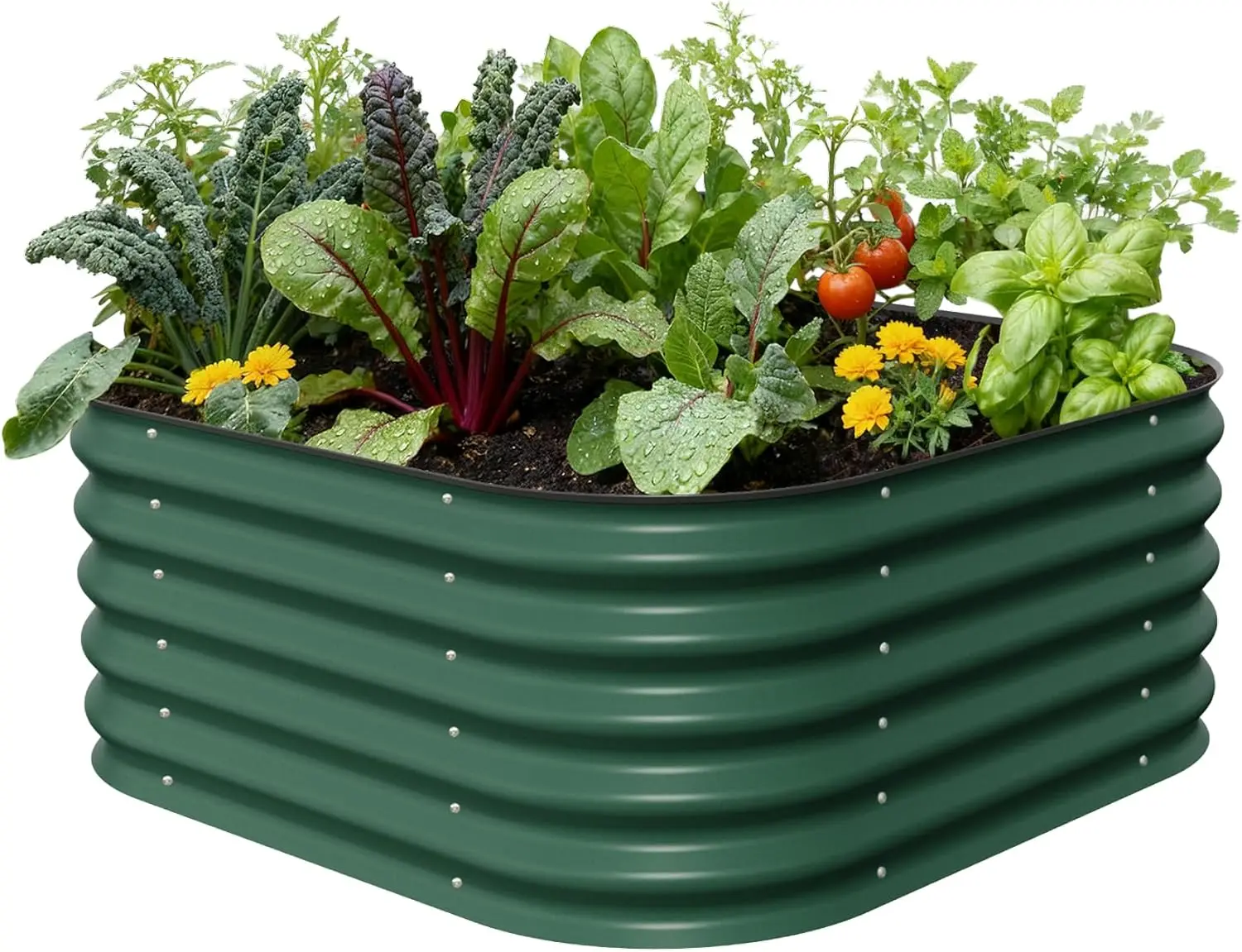 

17" tall Metal Raised Garden Bed Planter Box for Plants, Vegetables, Flowers, Herbs